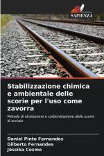 Stabilizzazione chimica e ambientale delle scorie per l'uso come zavorra af Daniel Pinto Fernandes