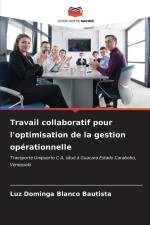 Travail collaboratif pour l'optimisation de la gestion opérationnelle af Luz Dominga Blanco Bautista