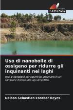 Uso di nanobolle di ossigeno per ridurre gli inquinanti nei laghi af Nelson Sebastian Escobar Reyes