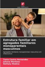 Estrutura familiar em agregados familiares monoparentais masculinos af Tania Castro Hernandez