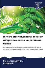 In vitro Issledowaniq wliqniq makroälementow na rastenie banan af Venkateswarlu Y.