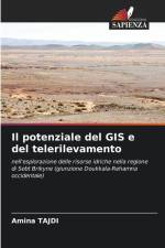Il potenziale del GIS e del telerilevamento af Amina Tajdi