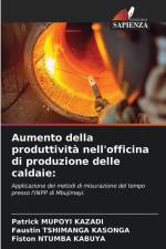 Aumento della produttività nell'officina di produzione delle caldaie: af Patrick Mupoyi Kazadi