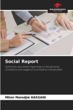 Social Report af Mlimi Moindjié Hassani