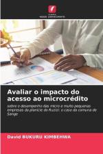 Avaliar o impacto do acesso ao microcrédito af David Bukuru Kimbehwa