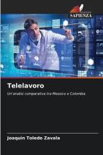 Telelavoro af Joaquín Toledo Zavala