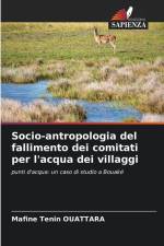 Socio-antropologia del fallimento dei comitati per l'acqua dei villaggi af Mafine Tenin Ouattara
