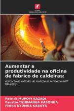 Aumentar a produtividade na oficina de fabrico de caldeiras: af Patrick Mupoyi Kazadi