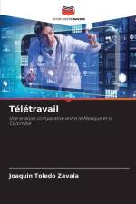 Télétravail af Joaquín Toledo Zavala