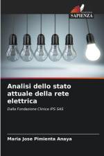 Analisi dello stato attuale della rete elettrica af Maria Jose Pimienta Anaya