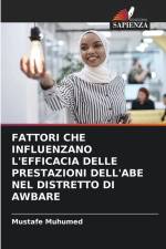FATTORI CHE INFLUENZANO L'EFFICACIA DELLE PRESTAZIONI DELL'ABE NEL DISTRETTO DI AWBARE af Mustafe Muhumed