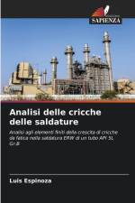 Analisi delle cricche delle saldature af Luis Espinoza