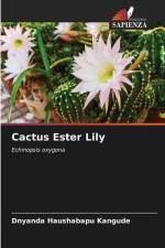 Cactus Ester Lily af Dnyanda Haushabapu Kangude