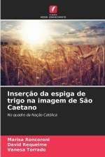 Inserção da espiga de trigo na imagem de São Caetano af Marisa Roncoroni