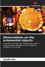 Observations on the ornamental objects af Claudia Pau