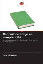 Rapport de stage en comptabilité af Henry Egyeyu
