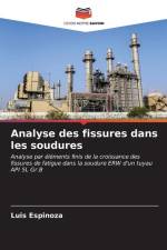Analyse des fissures dans les soudures af Luis Espinoza
