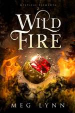 Wildfire af Meg Lynn