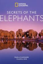 Secrets of the Elephants af Paula Kahumbu