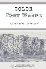 Color Fort Wayne Volume 3 af Amanda Otis