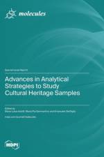 Advances in Analytical Strategies to Study Cultural Heritage Samples