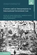 Custom and Its Interpretation in International Investment Law: Volume 2 af Panos Merkouris
