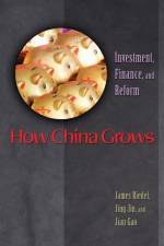 How China Grows af James Riedel