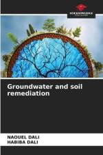 Groundwater and soil remediation af Naouel Dali