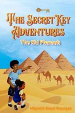 The Secret Key Adventures af Miyoshi Boyd Bourget