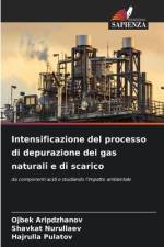 Intensificazione del processo di depurazione dei gas naturali e di scarico af Ojbek Aripdzhanov