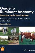 Guide to Ruminant Anatomy af Mahmoud Mansour