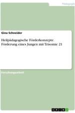 Heilpädagogische Förderkonzepte. Förderung eines Jungen mit Trisomie 21 af Gina Schneider