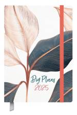 Terminkalender Campus Big Palmen 18 Monate 2025/2026 af Verlag Korsch