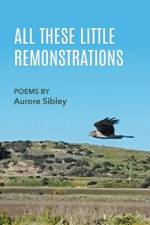 All These Little Remonstrations af Aurore Sibley
