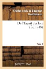 De l'Esprit des loix. Rapport que les loix doivent avoir avec la constitution de chaque gouvernement af Montesquieu-C L S