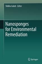 Nanosponges for Environmental Remediation af Shikha Gulati