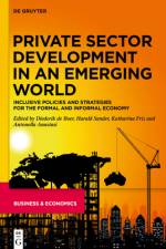 Private Sector Development in an Emerging World af Diederik Boer
