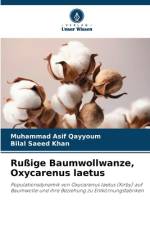 Rußige Baumwollwanze, Oxycarenus laetus af Muhammad Asif Qayyoum
