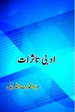 Adabi Tassuraat af Mirza Qudratullah Baig