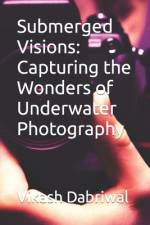 Submerged Visions af Vikash Dabriwal