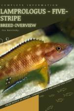 Lamprologus - Five-Stripe af Iva Novitsky