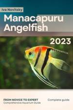 Manacapuru Angelfish af Iva Novitsky
