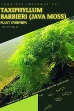 Taxiphyllum Barbieri (Java Moss) af Iva Novitsky