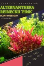 Alternanthera Reineckii 'Pink' af Iva Novitsky