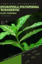Hygrophila polysperma 'Rosanervig' af Iva Novitsky