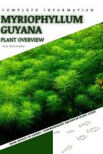 Myriophyllum Guyana af Iva Novitsky