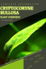 Cryptocoryne Bullosa af Iva Novitsky
