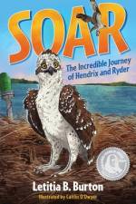 Soar af Letitia B Burton