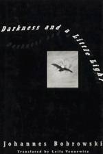 Darkness and a Little Light: Stories af Johannes Bobrowski