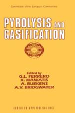 Pyrolysis and Gasification af G. L. Ferrero